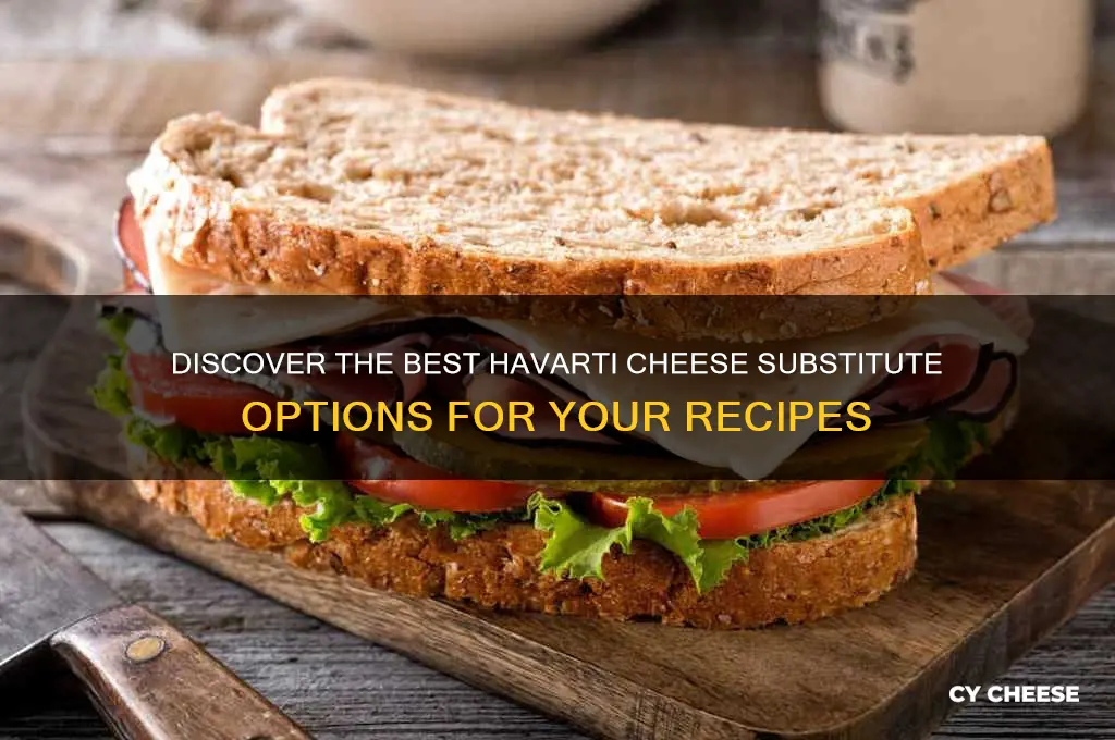 what is havarti cheese substitute