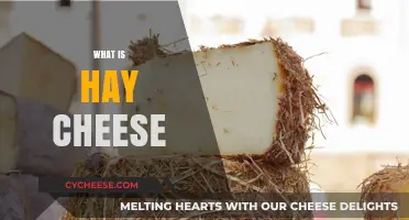 Discovering Hay Cheese: Unique Flavor, History, and Culinary Uses Explained