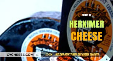 Discover the Rich History and Flavor of Herkimer Cheese