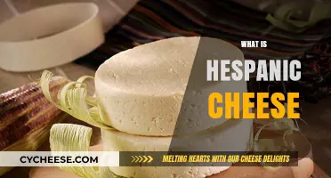 Discovering Hispanic Cheese: A Flavorful Journey Through Latin American Tradition