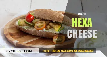 Discover the Creamy Delight: What is Hexa Cheese and Why It's a Must-Try
