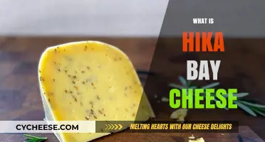 Discover the Unique Flavors of Hika Bay Cheese: A Guide