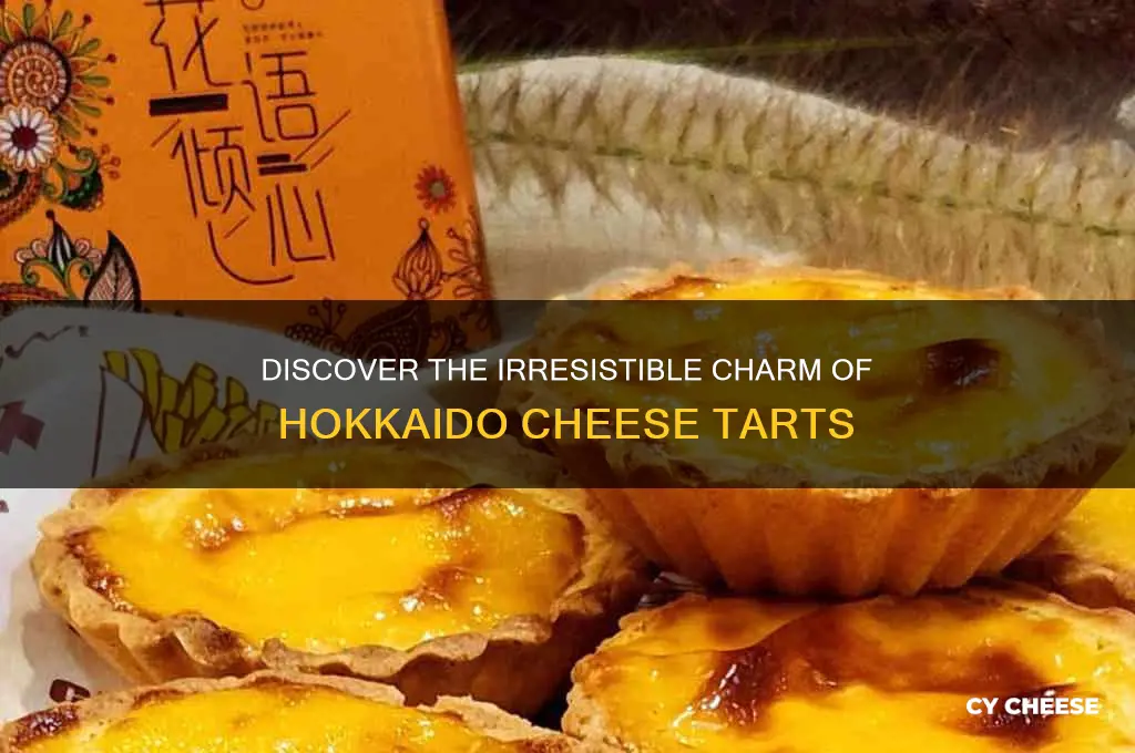 what is hokkaido cheese tart