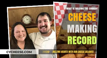 Unveiling the World's Largest Cheese: Record-Breaking Dairy Achievement