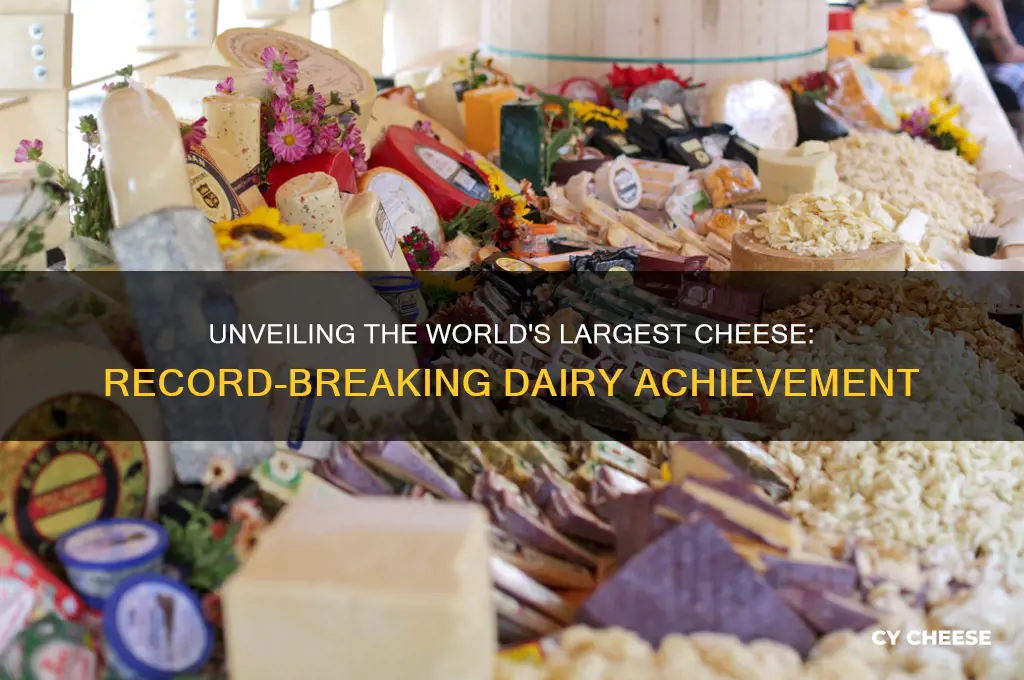what is holding the current cheese making record