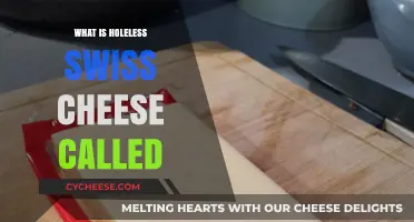 Why Swiss Cheese Has No Holes