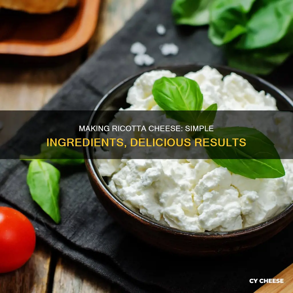 what is homemade ricotta cheese made out of
