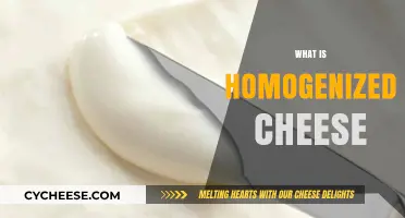 Understanding Homogenized Cheese: Process, Benefits, and Culinary Uses Explained