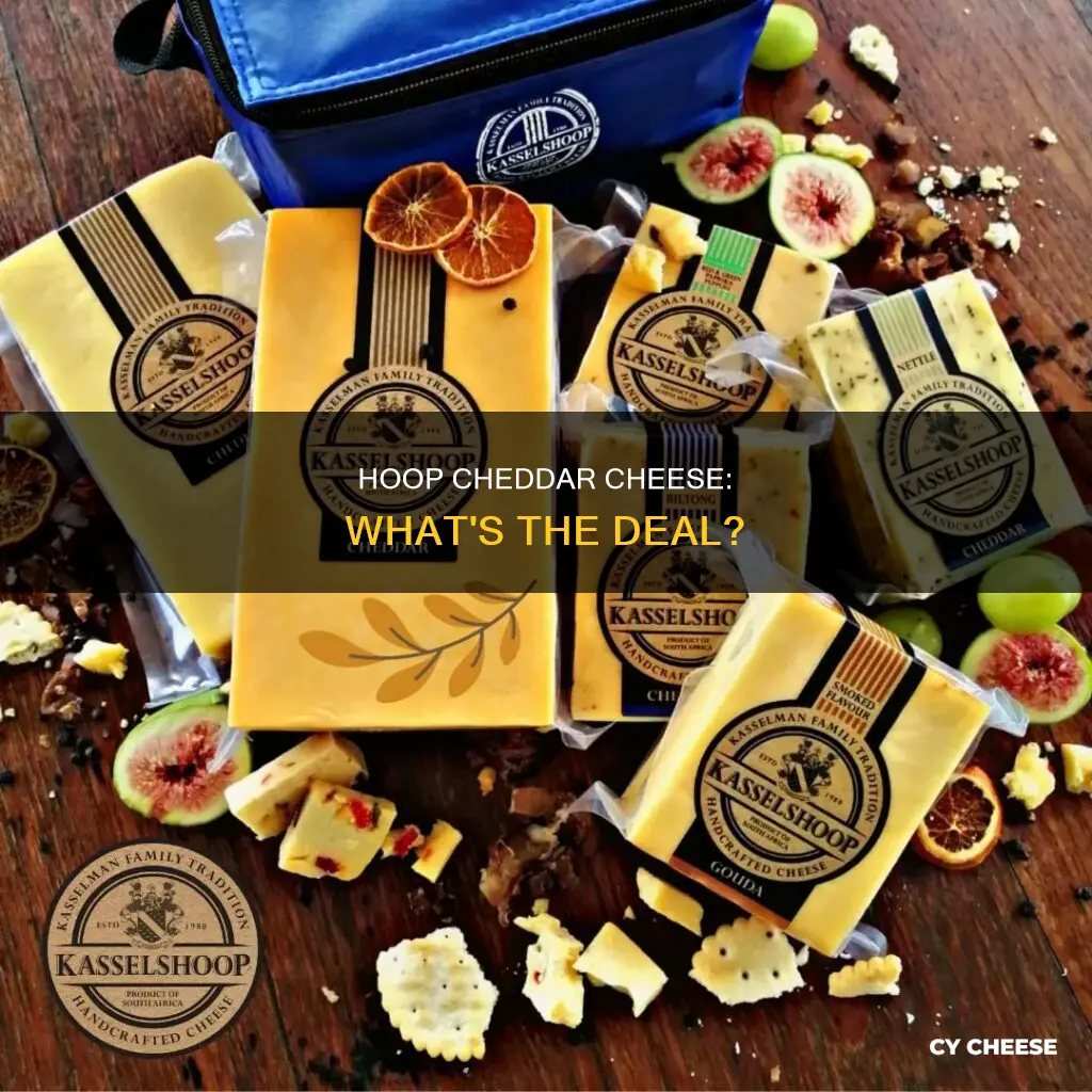 what is hoop cheddar cheese