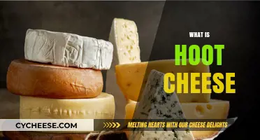 Unveiling Hoot Cheese: Origins, Flavor, and Culinary Uses Explained