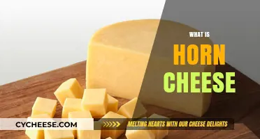 Discovering Horn Cheese: Origins, Flavor, and Culinary Uses Explained