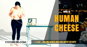 Unveiling the Bizarre Truth About Human Cheese: What You Need to Know