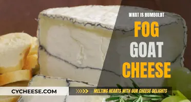 Unveiling the Mystery: Humboldt Fog Goat Cheese Explained