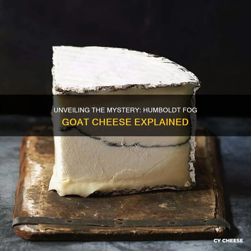 what is humboldt fog goat cheese