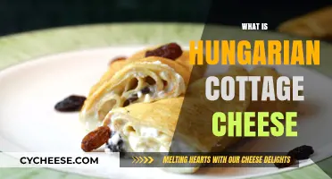 Discovering Hungarian Cottage Cheese: A Unique Culinary Delight Explained