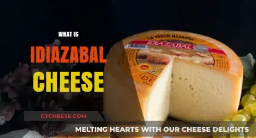 Discovering Idiazabal Cheese: A Basque Country Culinary Treasure Explained