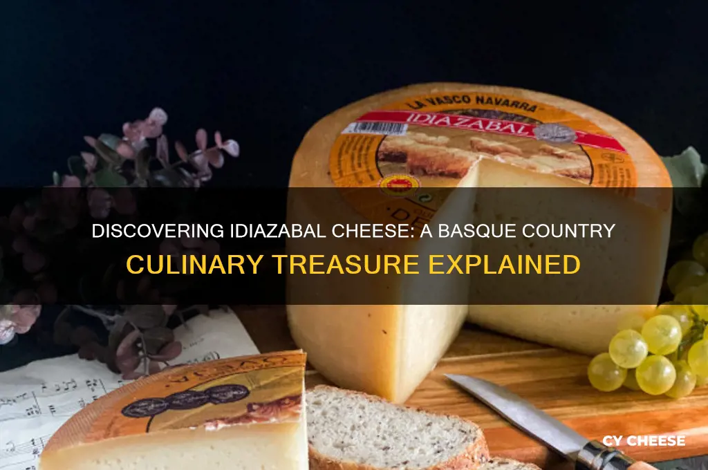 what is idiazabal cheese