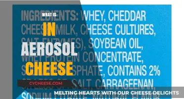 Unveiling the Surprising Ingredients in Aerosol Cheese: A Deep Dive