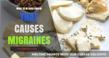 Aged Cheese and Migraines: Uncovering the Hidden Triggers in Your Diet