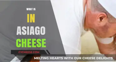 Exploring Asiago Cheese: Ingredients, Flavor, and Production Secrets