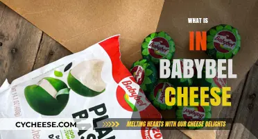 Unveiling Babybel Cheese: Ingredients, Nutrition, and Fun Facts Inside