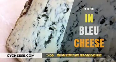 Unveiling Bleu Cheese: Ingredients, Flavor, and Unique Characteristics Explained