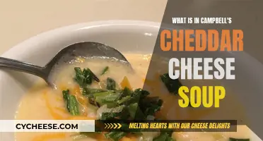 Unveiling the Secrets: What's in Campbell's Cheddar Cheese Soup?