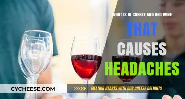 Cheese and Red Wine Headaches: Uncovering the Culprits Behind the Pain