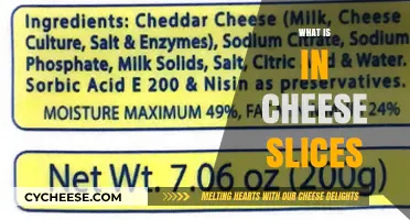 Unveiling the Ingredients: What's Really Inside Cheese Slices?