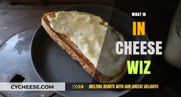 Unveiling Cheese Whiz: Ingredients, Process, and Surprising Facts Explained