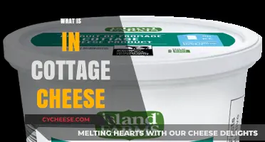 Unveiling Cottage Cheese: Ingredients, Nutrition, and Health Benefits Explained