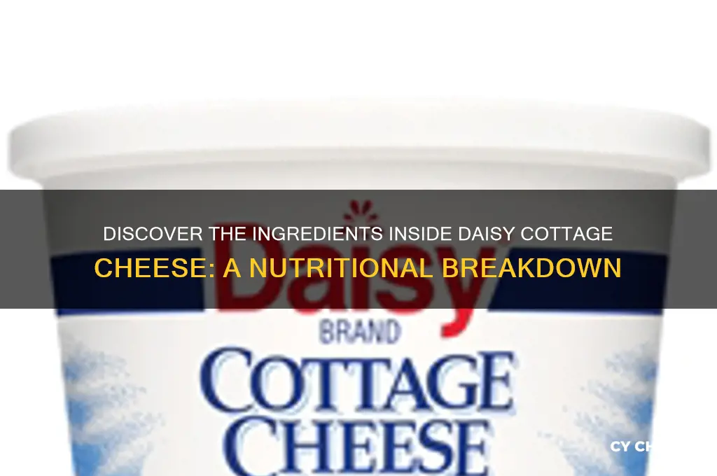 what is in daisy cottage cheese