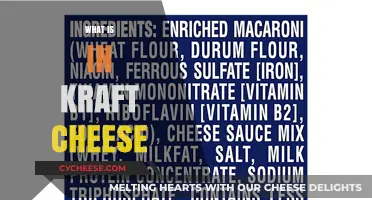 Unveiling Kraft Cheese Ingredients: A Detailed Look Inside the Slice