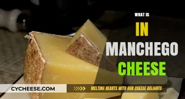 Discover the Rich Ingredients and Flavor Profile of Manchego Cheese