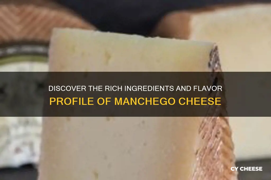 what is in manchego cheese