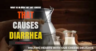 Milk's Hidden Culprit: Why Cheese Doesn't Cause Diarrhea Like Milk