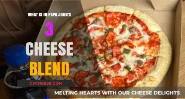 Papa John's 3 Cheese Blend: Ingredients and Flavor Profile Revealed