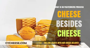 Unveiling Pasteurized Process Cheese: Ingredients Beyond Just Cheese Explained