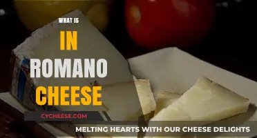 Discover the Ingredients and Flavor Profile of Romano Cheese