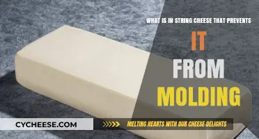 Why String Cheese Resists Mold: Ingredients and Preservation Secrets