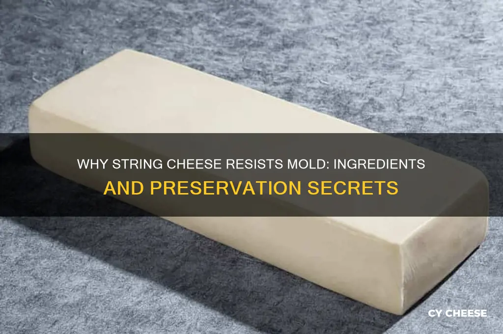 what is in string cheese that prevents it from molding