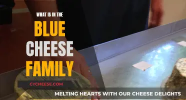Blue Cheese Family: What's in the Fridge?