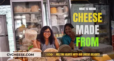 Indian Cheese: Exploring Traditional Dairy Delicacies