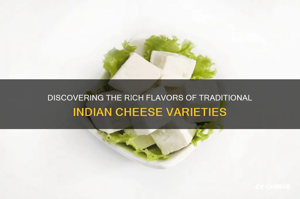 what is indian cheese