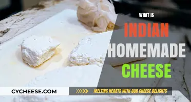 Discover the Richness of Indian Homemade Cheese: A Culinary Delight