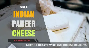 Discover the Creamy Delight of Indian Paneer Cheese