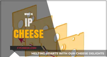 Understanding IP Cheese: Origins, Uses, and Its Role in Tech Security