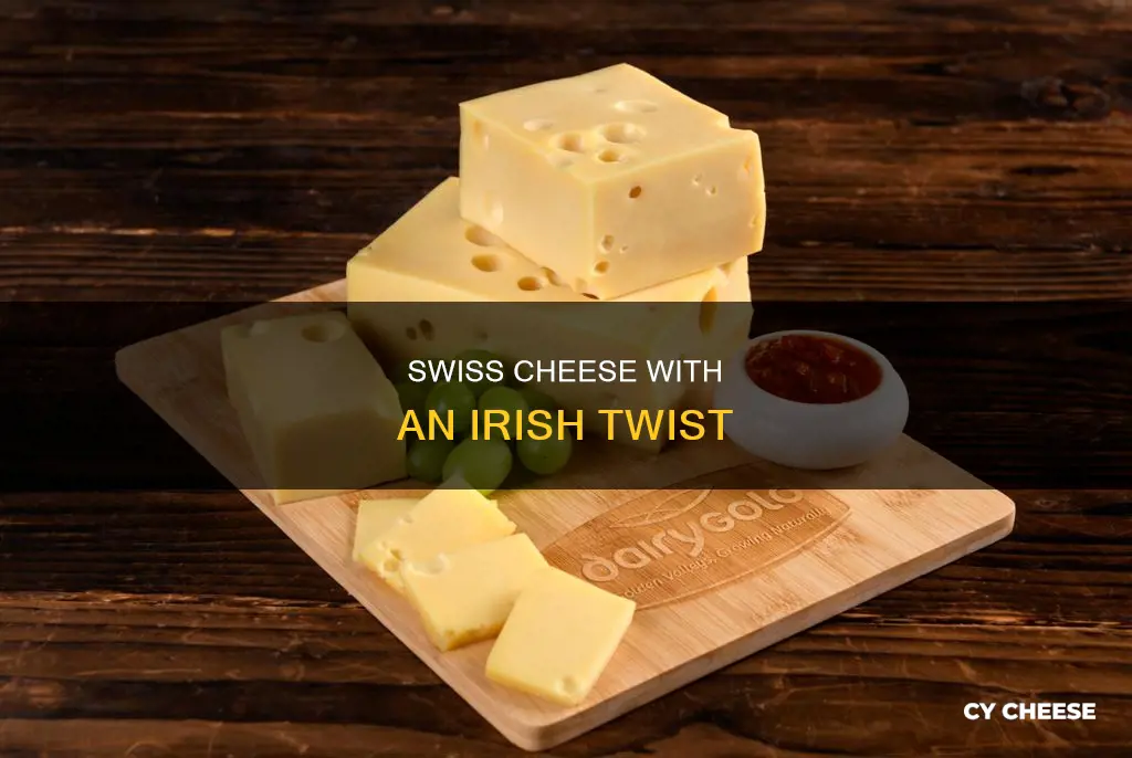 what is irish swiss cheese