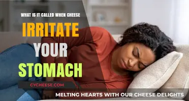 Cheese Sensitivity: Understanding Why Dairy Irritates Your Stomach