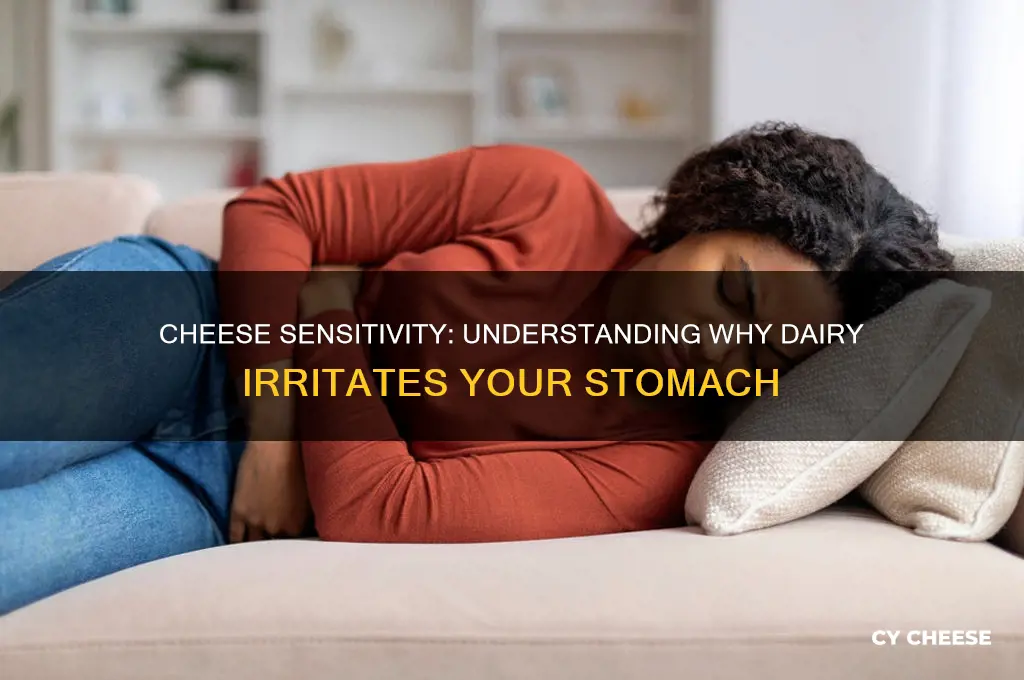 what is it called when cheese irritate your stomach